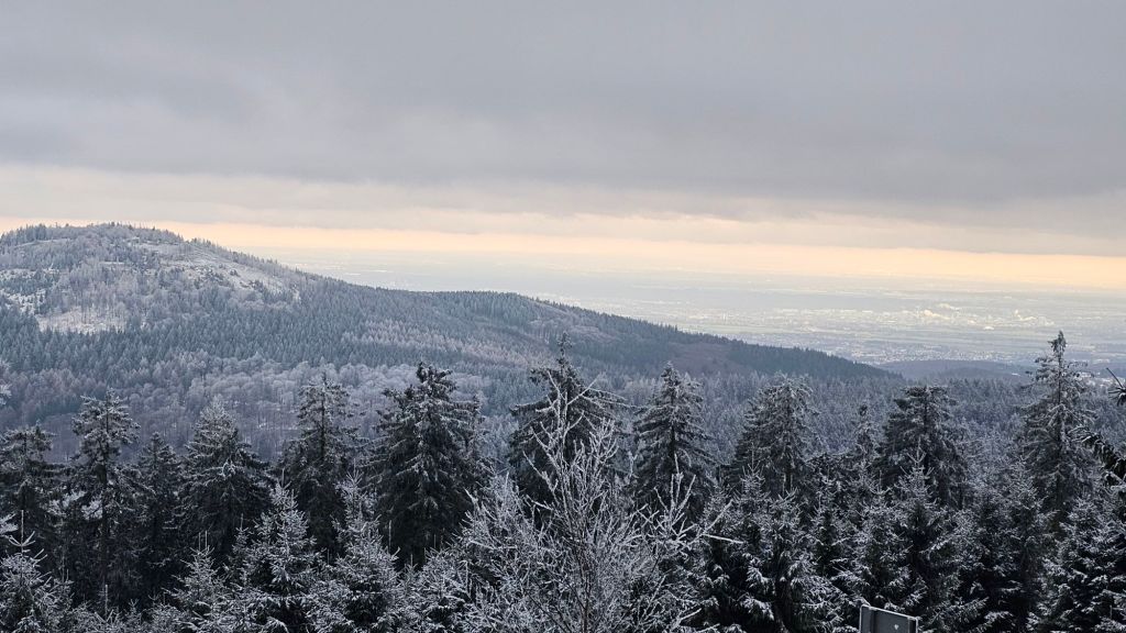 20260101_15455157741761902445982